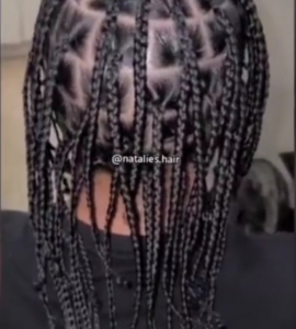 Single braids for Natalies.hair