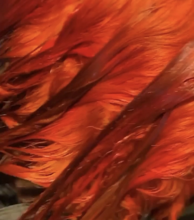 Bundle Color for Mo_Beautii